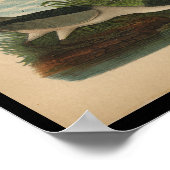 Poster 1890 Oiseau Imprimer Héron de nuit (Coin)