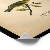 Poster 1890 Tangeur d'araignées à imprimer (Coin)