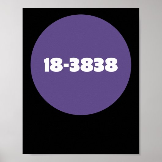 POSTER 18-3838 (Devant)