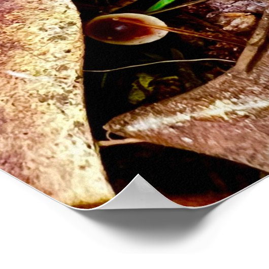 Poster 18 x 24 (Hoek)