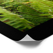 Poster (18" x 24") De bloeiende Ubud Bali (Hoek)