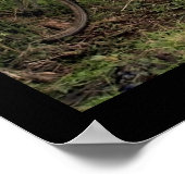 Poster (18" x 24") Ubud Bike Bali (Coin)