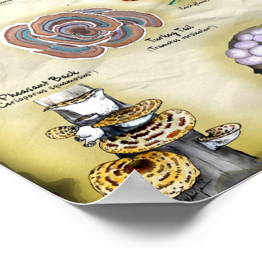 Poster 18x12 Champignons du Vermont (Coin)