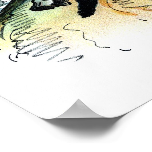 Poster 1902 Theodore Roosevelt (Coin)