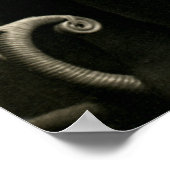 Poster 1905 Beer Drinking Girl Friends (Coin)