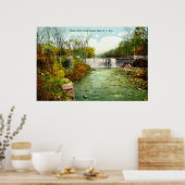 Poster 1908 Bronx River Falls, Bronx Park, New York (Cuisine)