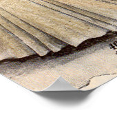 Poster 1908 Robe Gimbels no 1 (Coin)