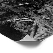 POSTER 1910 JOURNAUX STANLEY PARK CANADA (Coin)