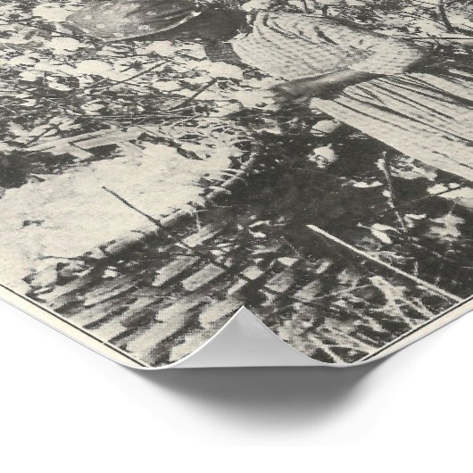 Poster 1916 cueillir du coton (Coin)