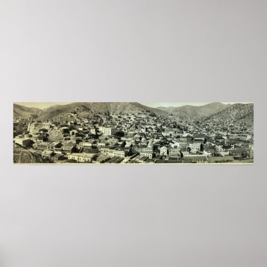 Poster 1916 Oiseaux Vue oculaire de Bisbee, AZ Photo Vint (Devant)