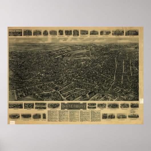 Poster 1917 Waterbury CT Oiseaux Vue panoramique Carte (Devant)