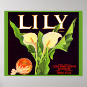 Poster 1930 Lily orange crate étiquette (Devant)