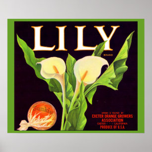 Poster 1930 Lily orange crate étiquette