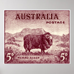 Poster 1934 moutons de Merino d'Australien