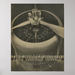 Poster 1938 Aviation Airplane Engine Magazine Art Print