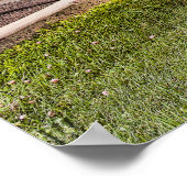 Poster 1967 Pontiac GTO (Coin)