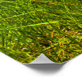 POSTER 1968 4-4-2 (Coin)