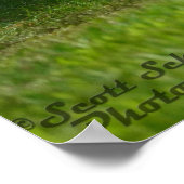 Poster 1971 Dodge Challenger R/T 440 sixpack (Coin)