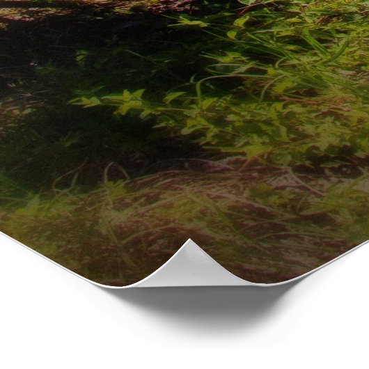 Poster 1972 Cutlass Soft Focus (Coin)