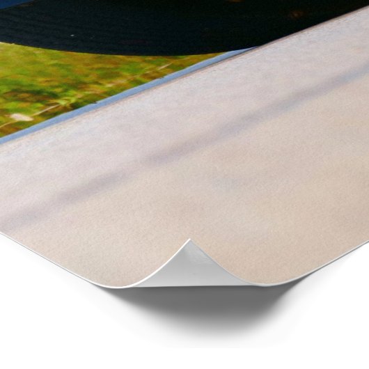 Poster 1978 Firebird Trans Am (Coin)