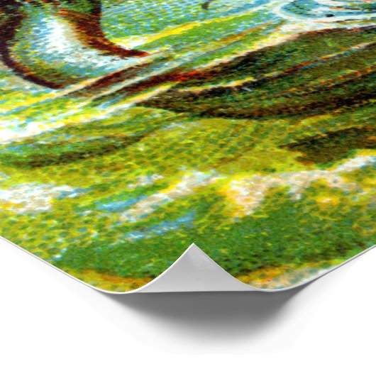 Poster 19e C. Mermaids (Coin)