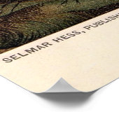 Poster 19e century print sea anemones (Coin)