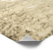 Poster 19ème C. Swans à Paris (Coin)