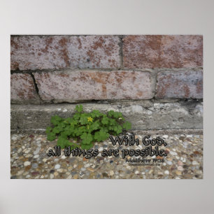 Poster 19h26 de Matthew