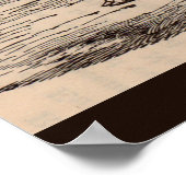 Poster 19th century farm animal print Berkshire sow no. 2 (Coin)