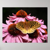 Poster 19x15" (Devant)