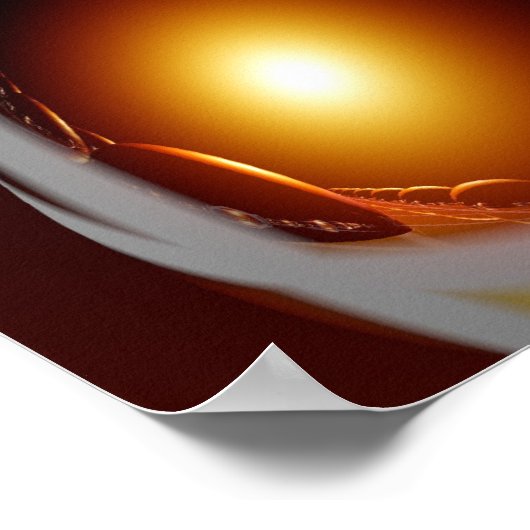 Poster 1,71 Bil (Coin)