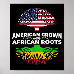 Poster 1 Américain Cultivé Africain Racines Usa Drapeau B