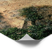 Poster 1 American Freedom Train (SP) 4449, Cape Horn, CA (Coin)