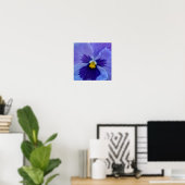 Poster 1 Blue Beauty Pansy (Bureau à domicile)