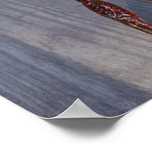 Poster 1 langouste (Coin)