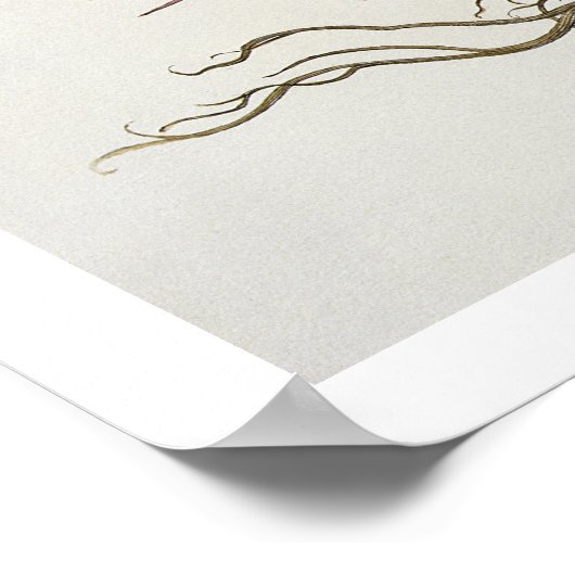 Poster 1.Melocactus ; 2.Rosa Hiericontea aperta ; 3.Rosa  (Coin)