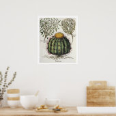 Poster 1.Melocactus ; 2.Rosa Hiericontea aperta ; 3.Rosa  (Cuisine)