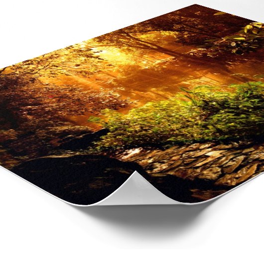 Poster 1 - Nature (Coin)