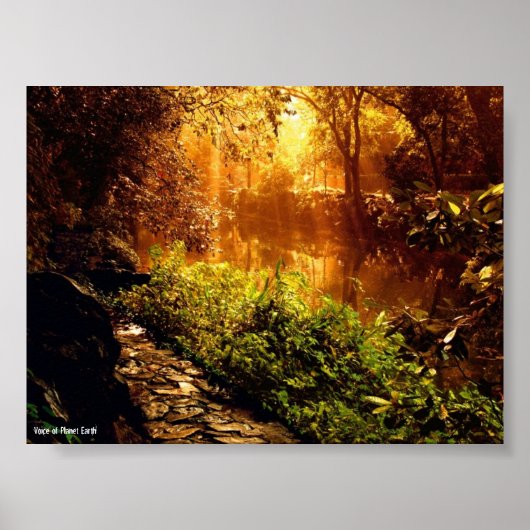 Poster 1 - Nature (Devant)