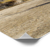 Poster 1 Timothy 3:16, 17 Smoke Bush (Coin)