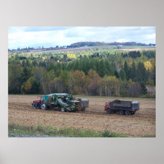 Poster 2009_Maine_Autumn_169 (Devant)