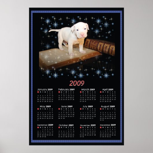 poster 2009 Wall Calendar of Luna (Voorkant)