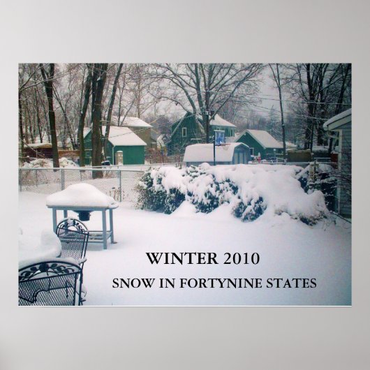 POSTER 2010, AFFICHAGE DE NEIGE DANS LA FORTYNINE ETATS (Devant)