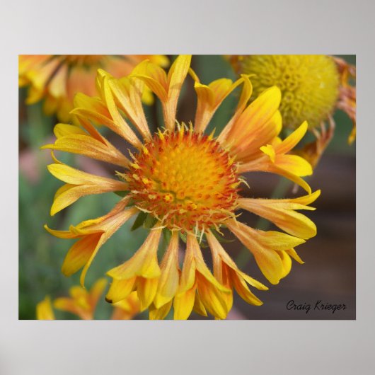 Poster 2010f_may, Craig Krieger (Devant)