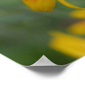 Poster 2010f_may, Craig Krieger (Coin)