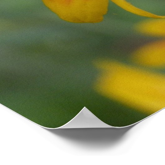 Poster 2010f_may, Craig Krieger (Coin)