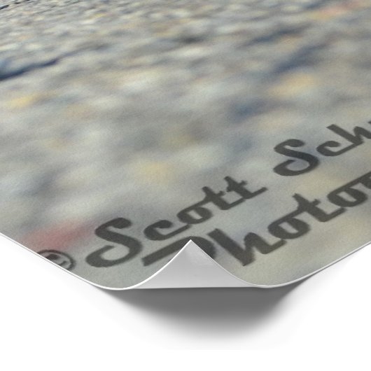 Poster 2013 Dodge Challenger SRT8 392 (Coin)