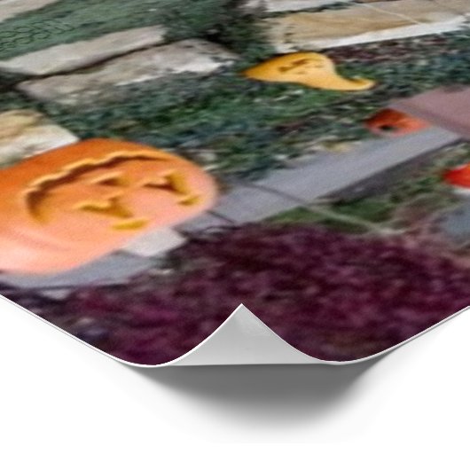 Poster 2013 Jack-o-Lanterns 24x12 Reflection Print (Coin)