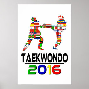 Poster 2016 : Le Taekwondo
