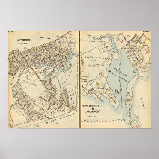 Poster 202203 Larchmont, New Rochelle (Devant)